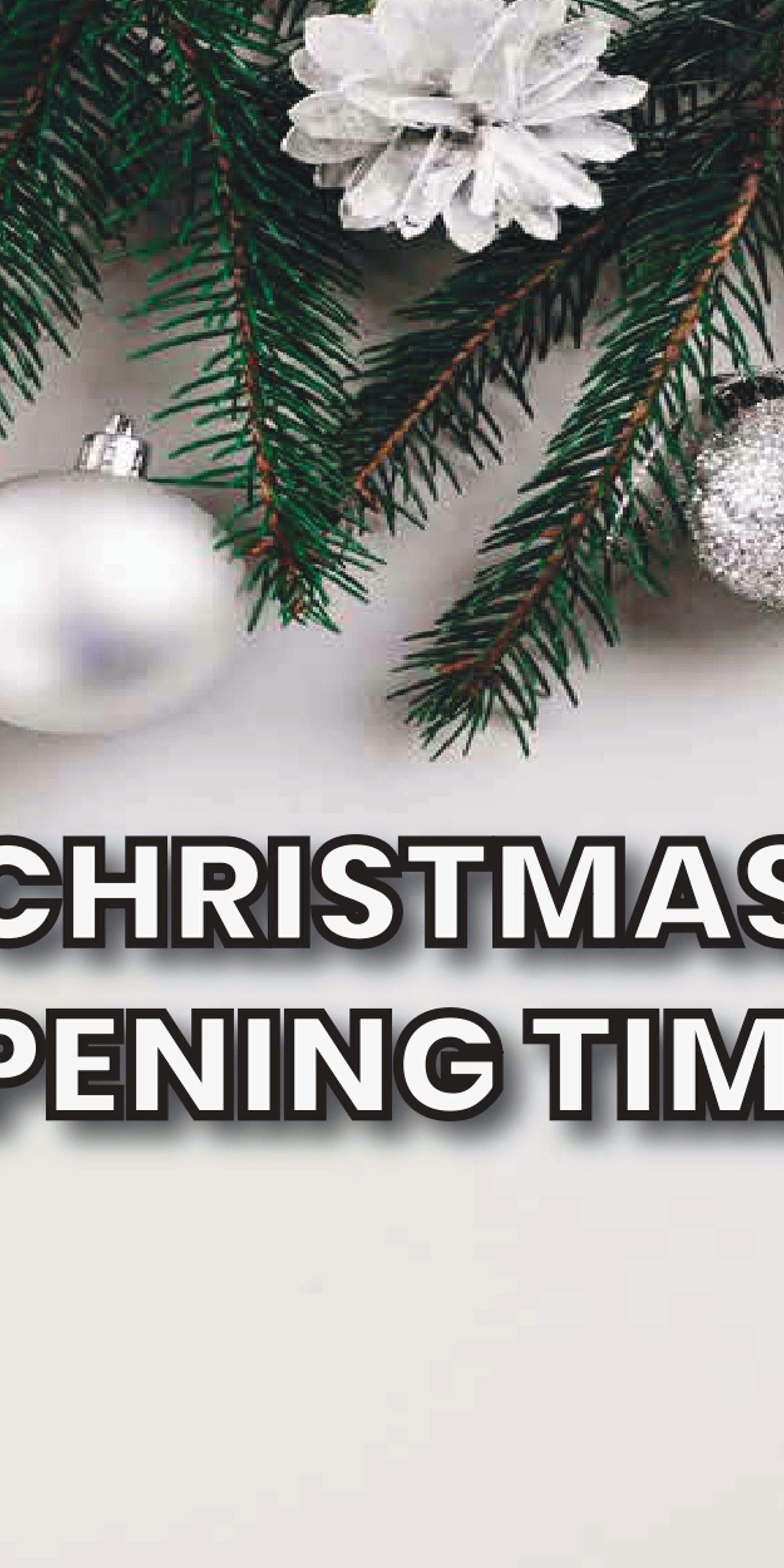 Christmas Opening Times Page 0001 (2) (1) (1)