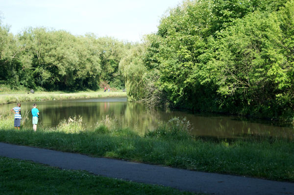 Highfields
