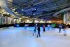 Big Skate Image 6