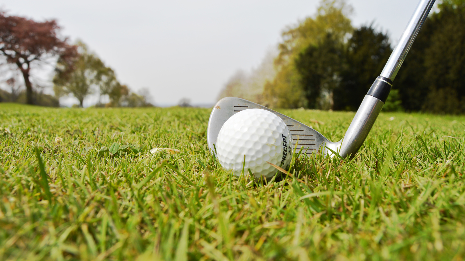 Golf ball and golf club