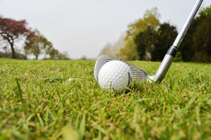 Golf ball and golf club