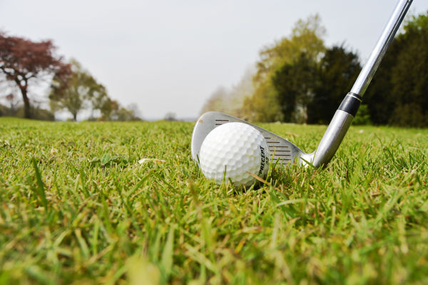Golf ball and golf club